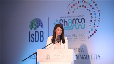 وزيرة التعاون الدولي: لابد من مكافحة تحديات الأزمات العالمية على الدول النامية