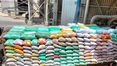 تموين الإسكندرية تحرر محاضر للمزارعين لعدم توريد الكميات المقررة من القمح المحلى