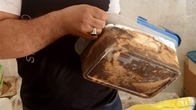 صحة القليوبية تضبط 5 أطنان جبنة رومي غير صالحة للاستهلاك الآدمي بالخانكة