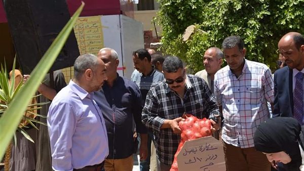 محافظ المنيا