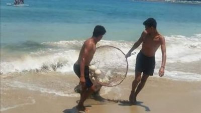  لحماية الكائنات البحرية.. بدء حملة لتوعية مصطافي الشواطئ بالحفاظ على البيئة بالإسكندرية