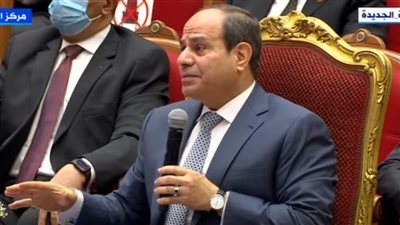 السيسي: الاستثمار لن يذهب إلى الدول الأفريقية إلا إذا تحقق الاستقرار والأمن بالقارة