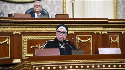نواب يواجهون وزيرة الصناعة بـ 9 طلبات إحاطة حول أزمات المستثمرين