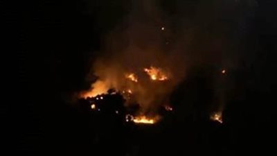 السيطرة على حريق بحدائق أنطونيادس شرق الإسكندرية 