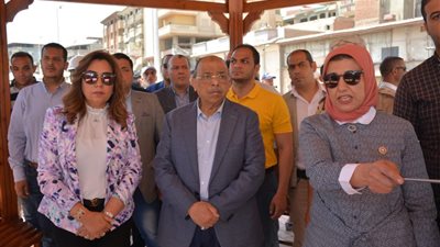 وزير التنمية المحلية يفتتح طريق الدكتور مشرفة وميدان أبو الوفا بتكلفة 187 مليون جنيه 