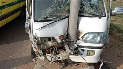 14 شخصًا.. ننشر أسماء مصابي تصادم ميكروباص بعمود إنارة في المنوفية 