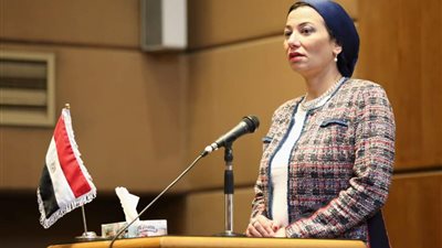 نائبة لـ ياسمين فؤاد: وزارة البيئة غير موجودة في صعيد مصر