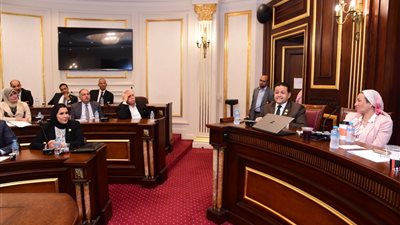 وزيرة البيئة: نتبع سياسة تحفيزية لتشجيع المصانع على التوافق البيئي