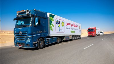 تنفيذًا لتوجيهات الرئيس.. 48 طن مواد غذائية ولحوم وألبان في قافلة تحيا مصر لـ2000 أسرة بوسط سيناء