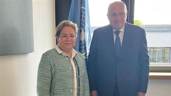  سامح شكري يلتقي