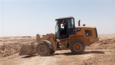 محافظ الفيوم يُوجه بسرعة التعامل مع هياكل حمير رصدت على الطريق الصحراوي |صور