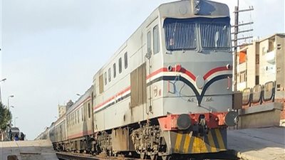 صعد فوق القطار لالتقاط صورة.. الأمن يضبط عاملًا عرض حياته للخطر 