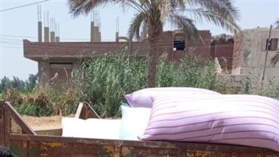 التحفظ على 7 أطنان قمح وأسمدة زراعية قبل بيعها في السوق السوداء بالشرقية │ صور