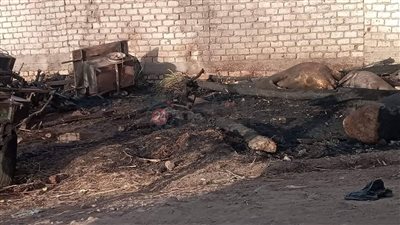 السيطرة على حريق هائل نشب بحظيرة مواشي بإحدى قرى مركز ملوي في المنيا