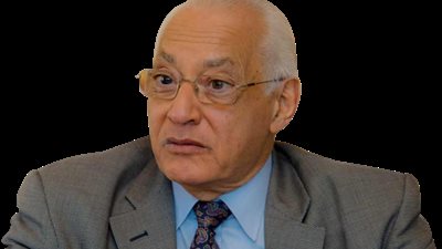 علي الدين هلال: مصر لا تراهن في مستقبلها على أي دولة