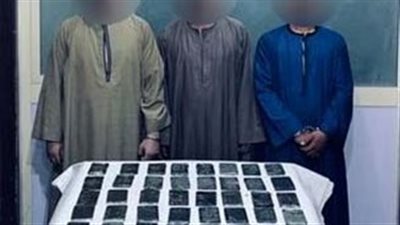 القبض على 7 متهمين بحوزتهم مخدرات بـ 3 ملايين جنيه بالإسكندرية| صور
