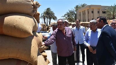 توريد 463 ألف طن من محصول القمح بالمنيا إلى الآن