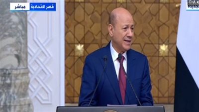 رئيس مجلس القيادة اليمني: نقف إلى جانب مصر لضمان حقوقها المائية