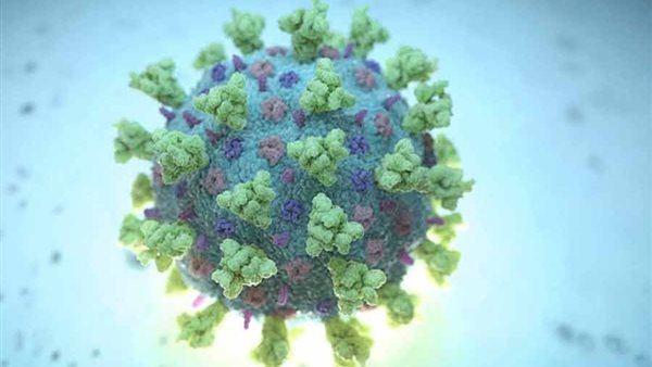 كورونا -تعبيرية