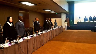وزراء التجارة الأفارقة يتبنون المقترح المصري لتحديات الأمن الغذائي