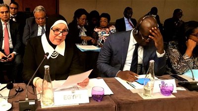 وزيرة الصناعة تطالب بإصلاح فض المنازعات بمنظمة التجارة العالمية