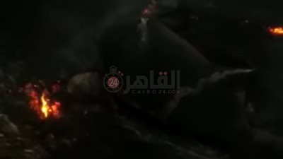 نفوق رؤوس ماشية في حريق هائل بحظيرة في المنيا