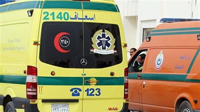 بسبب خلافات الجيرة.. عامل يقتل زوجته ويتعدى على جاره بالساطور في سوهاج | بث مباشر