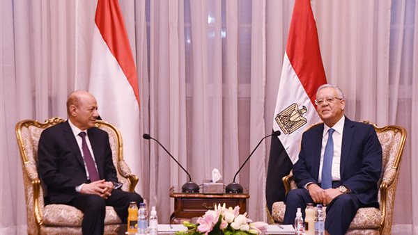 المستشار الدكتور