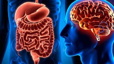 كيف يؤثر الجهاز الهضمي على صحة العقل؟.. خبراء يجيبون