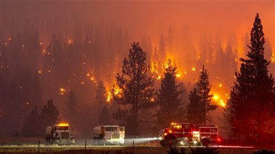 الحرائق تجتاح غابات كاليفورنيا.. ورجال الإطفاء يكافحون لإخمادها |صور وفيديو