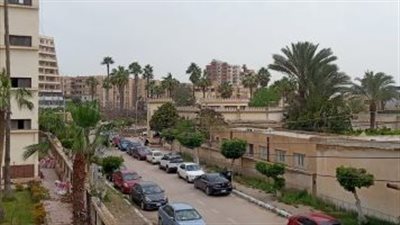 هل تشهد البلاد موجة حارة الأسبوع المقبل؟.. الأرصاد تجيب