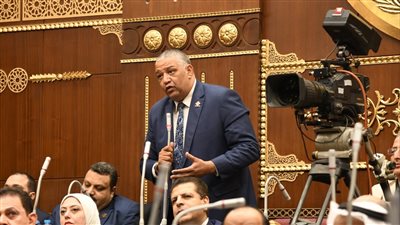 برلماني: الرياضة المصرية في خطر.. ويجب وضع رؤية بشأنها ضمن استراتيجية حقوق الإنسان