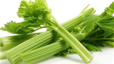 5 فوائد صحية لنبات الكرفس.. منها علاج النقرس والصداع النصفي