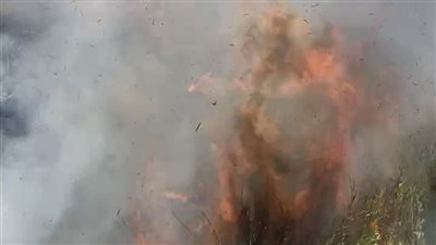 السيطرة على حريق بقطعة أرض زراعية بالدقهلية