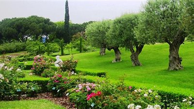 دراسة: الناس يتمتعون بالنشاط حينما يعيشون في بيئات شديدة الخضرة 