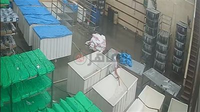 تفاصيل لحظة وفاة طفل داخل مصنع رنجة بالشرقية 