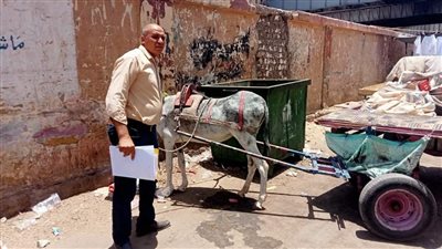 التحفظ على عربة كارو لأحد نباشين القمامة بمدينة الأقصر