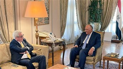 دعما للقضية الفلسطينية.. شكري يستقبل مبعوث الأمم المتحدة للسلام | صور