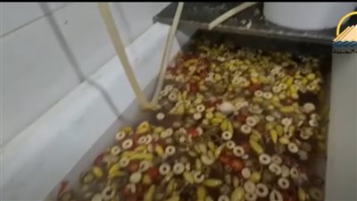 غلق وتشميع معمل مخلل شهير بالطالبية بعد ضبط كميات فاسدة | فيديو 