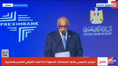 محافظ البنك المركزي: لجأنا لـ جزء من الاحتياطي الأجنبي لتجنب صدمة أسعار الصرف 