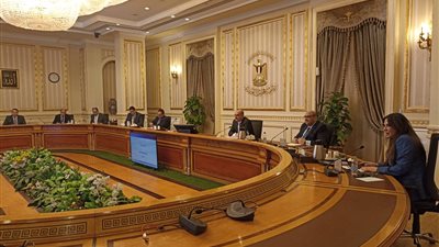 المنشاوي: تصميم منظومة إلكترونية تابعة لمجلس الوزراء تتلقى المشكلات من المستثمرين