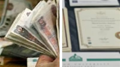 الداخلية تضبط قضايا نصب بـ 100 مليون جنيه بالمحافظات | فيديو