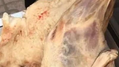 ضبط 7 أطنان لحوم مختلفة وأسماك غير صالحة للاستهلاك الآدمي بالمنوفية