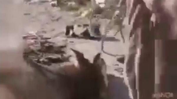 الماشية النافقة 