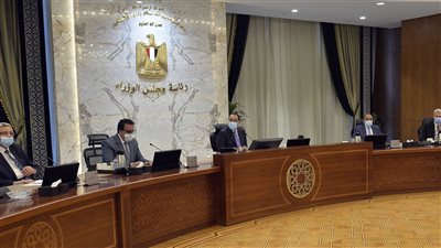  إلغاء جميع القيود المقررة على دخول المصريين أو الأجانب إلى مصر