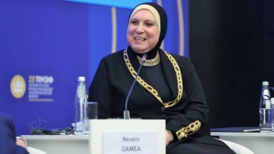 وزيرة التجارة: مصر تصدرت الدول الإفريقية في تدفقات الاستثمار الأجنبي المباشر خلال 2021 