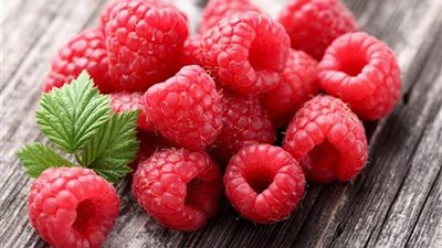 فوائد التوت البري الأحمر.. يقى من الإصابة بالسرطان