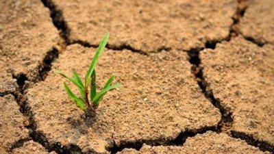 في اليوم العالمي لمكافحة التصحر.. بحوث الصحراء: نسعى لتحقيق حيادية تدهور الأراضي بحلول 2030