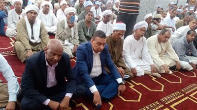 محافظ أسوان ينيب السكرتير العام ورؤساء المراكز والمدن بافتتاح 4 مساجد 