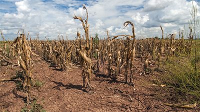 كيف يؤثر ارتفاع درجات الحرارة بشكل سلبي على الاقتصاد؟